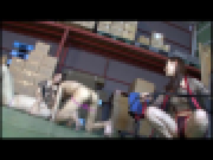 【PP】アンタレスの女 S女による完全M男調教 #049 ANTS-002-14 サンプル画像