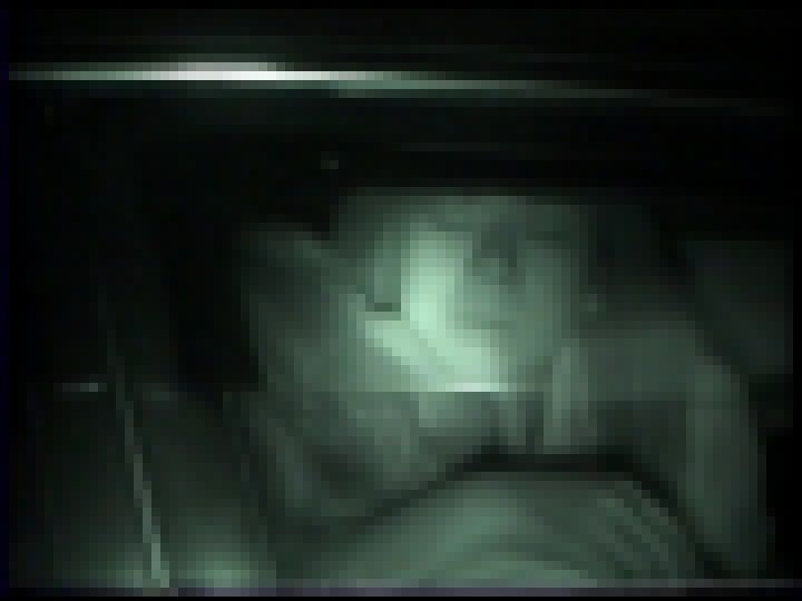 【紀州書店】全国隠撮大図鑑 カーセックス全集 #007 サンプル画像