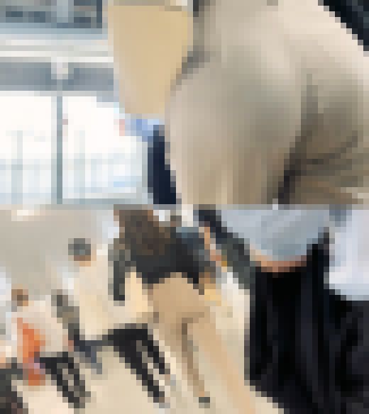 歩行記録0019 サンプル画像3