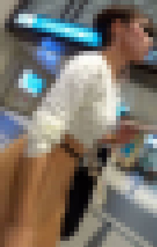 おかず378（細身ボインな美人すぎるOLお姉様） サンプル画像