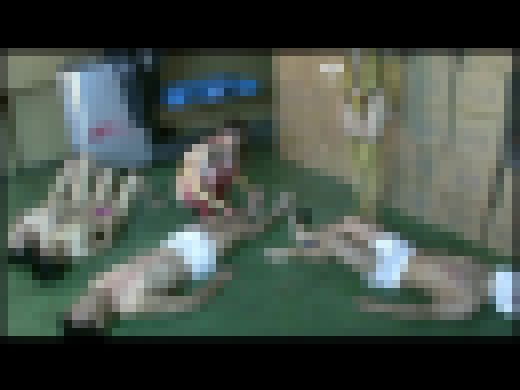 【PP】アンタレスの女 S女による完全M男調教 #053 ANTS-002-18　サンプル画像3