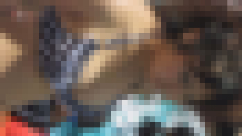 むちむちビキニちゃん　サンプル画像3