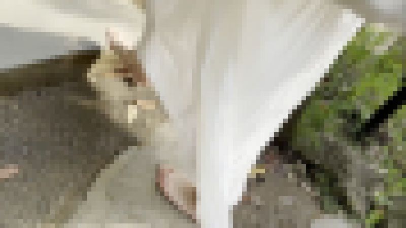 【完全裸足】第10弾！裸足で公園や周辺道路を歩く女性 part3 サンプル画像