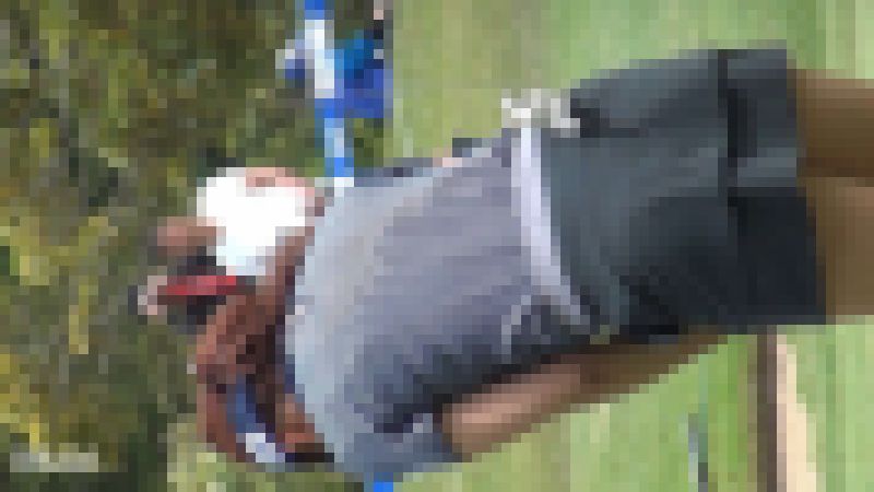 1505 サンプル画像