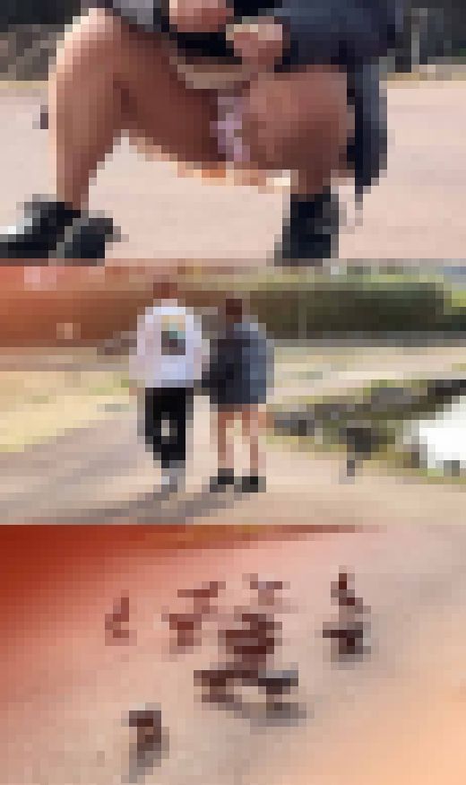 【パンチラ盗撮】幼い残る女子のパンツと飛び立つ鳩。イチャつくカップルの餌やり一部始終　サンプル画像3