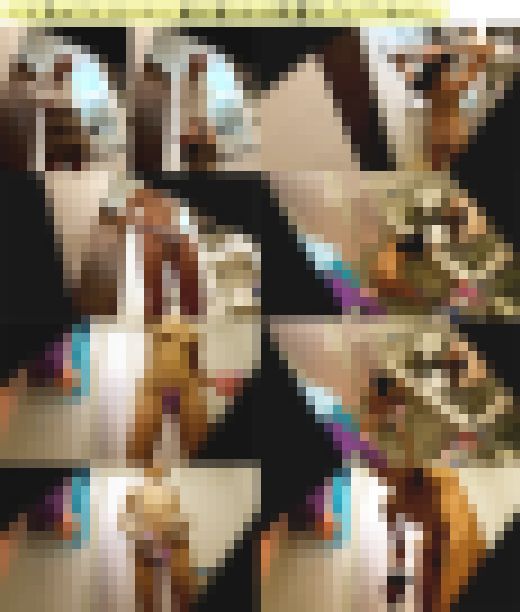 ≪3本セット≫ペットショップで働く美人で優しいお姉さん おっぱいもお尻も素晴らしい裸体を完全盗撮、他　サンプル画像3