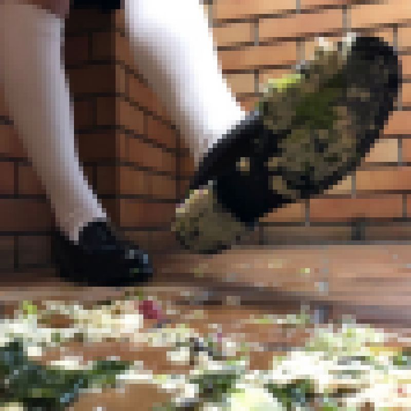 【クラッシュ】【脚フェチ】現役都内女子○生めいちゃんがサラダチキンを執拗に踏み潰す。 サンプル画像