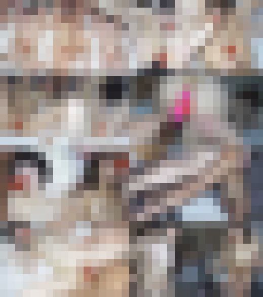 【すい◎んカン】M大スキーサークル追い出しコンパ／卒業生女子3名③【特典3本】　サンプル画像1
