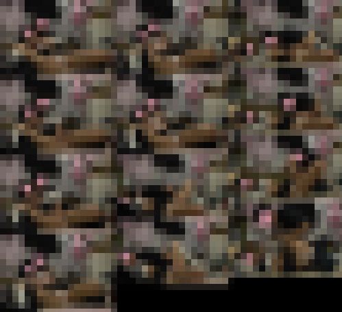 オナっ娘倶楽部♡あかね　サンプル画像1