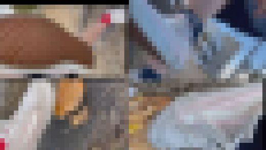 復刻版アマチュアCRUSH　最終章　サンプル画像2