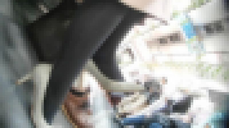 【ザ☆黒タイツ57】足元から２名 サンプル画像