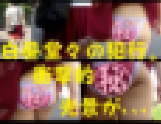 【鬼畜スカートめくり9】～大衆の前で下半身をあらわにされた女の子～　サンプル画像2