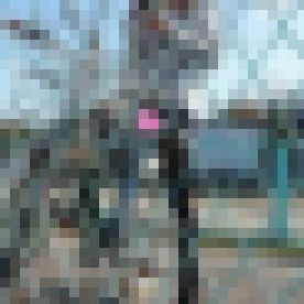 超ミニで自転車にまたがるギャルを隠し撮り サンプル画像