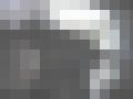 全国隠撮大図鑑 パンチラ全集 #016　サンプル画像1
