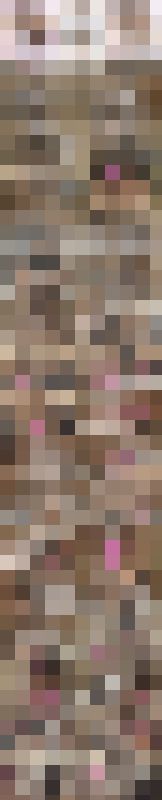 【お得3本セット】怒！あどけないからW中出し決定！仲良し同級生二人組美少女の子宮直撃！マン汁精子入り乱れドロドロ大乱交映像　サンプル画像1