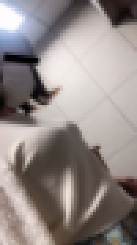 横からの眺め19 サンプル画像