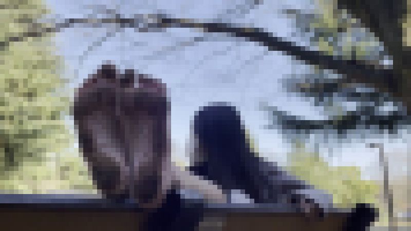 【完全裸足】第15弾!裸足で公園を歩く女性 part2 サンプル画像