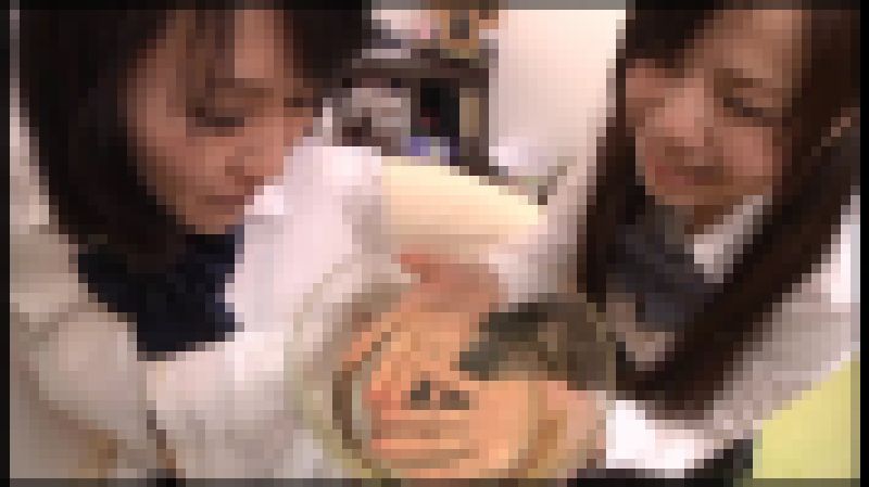 【FetishJapan】汚物入り混じるスカトロ愛好レズ #005 [SFJ6-094-05] サンプル画像