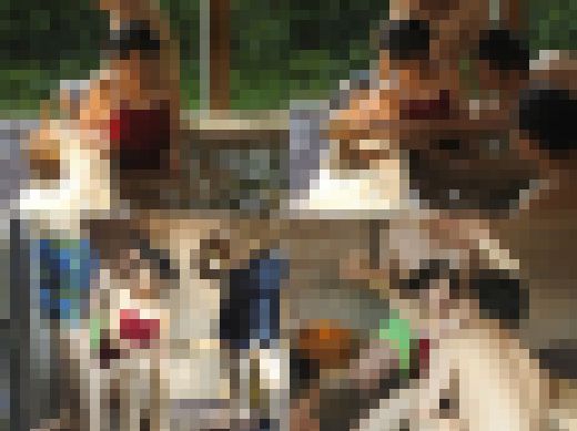【スク水J系】混浴温泉にスク水で入浴中のパイパンJ系が痴カンに遭い4Ｐセクハラ輪カンされ生ワレメに中出しされてしまう【覗き撮り】　サンプル画像1