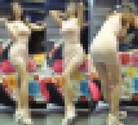 パンティ透け透けお姉さん　サンプル画像1