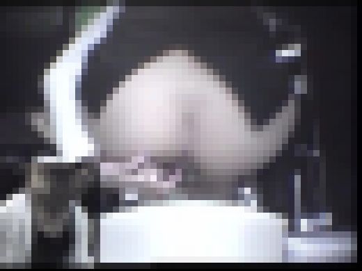 全国隠撮大図鑑 女子トイレ全集 #005　サンプル画像1