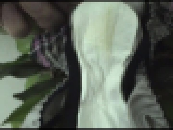 個人ロッカー内パンツの盗み撮り #019 サンプル画像