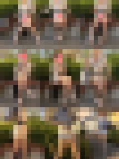 お買い得パンチラセット！！　サンプル画像2