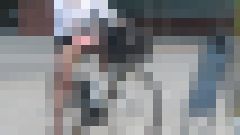 某施設から出てきたスーツ姿の生Pパンスト娘 携帯が終わるまで丸見え4K動画ちゃりんこパンチラ サンプル画像