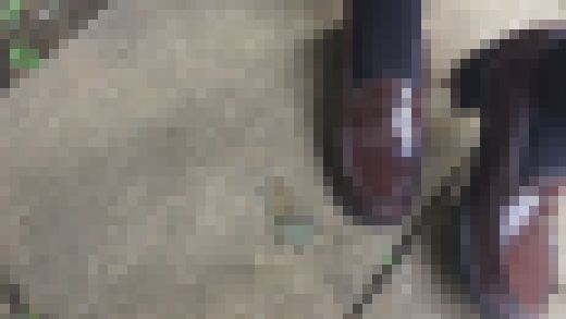 まおたん、黒タイツローファーで、セミをクラッシュするｗｗｗ　サンプル画像2