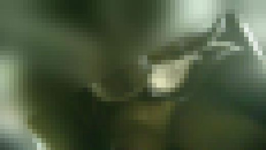 猫のお散歩37　サンプル画像2