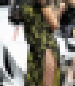 コンパニオンです 10 サンプル画像2