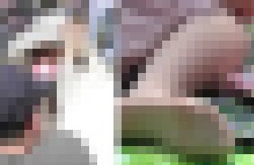 【フルHD】眼前パンスト　熟女編　50　サンプル画像1