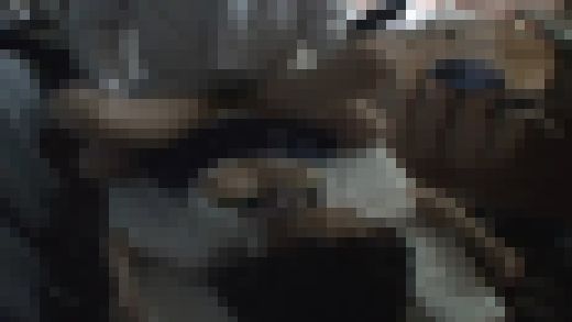 女子校の非常勤講師に転職して生●を犯していた元サラリーマン男！File.2　サンプル画像3