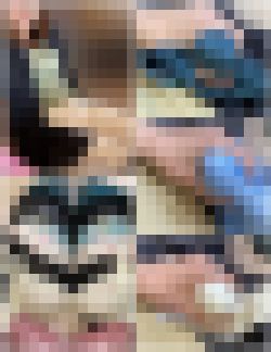 ★嫁の妹の下着(30歳、処女)★ サンプル画像