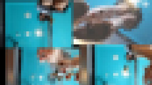 みくちゃんの裸足で金魚CRUSH　VOL5　サンプル画像3