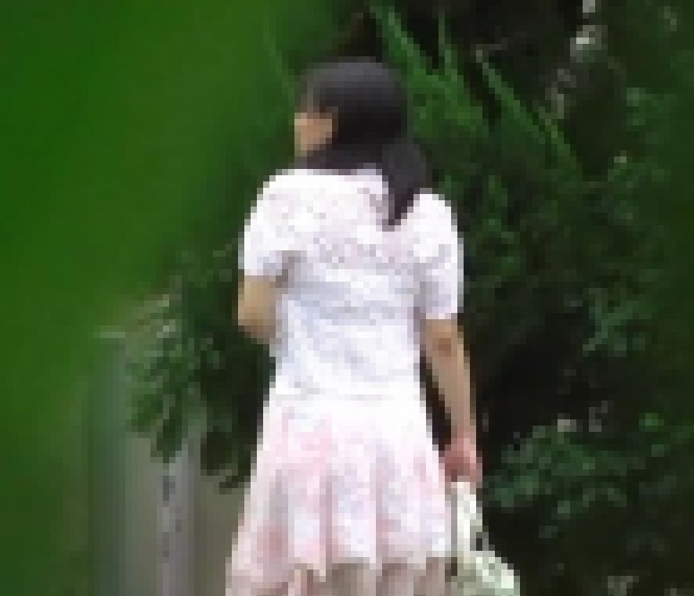 街中野ション　うんこ特集No2 サンプル画像