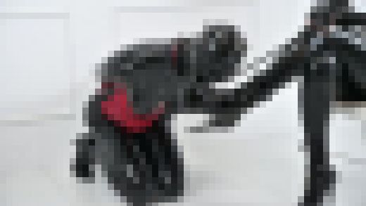 エナメル女王様とラバードール Vol.3　サンプル画像1