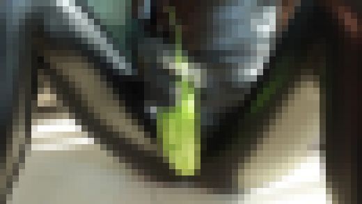 僕の彼女はキャットスーツマニア Vol.3　サンプル画像2