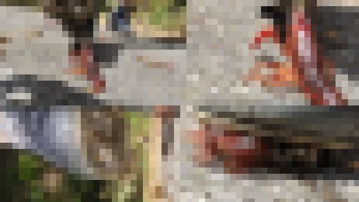 めいちゃんのコスプレ、スパイクでザリガニCRUSH　最終章　サンプル画像2