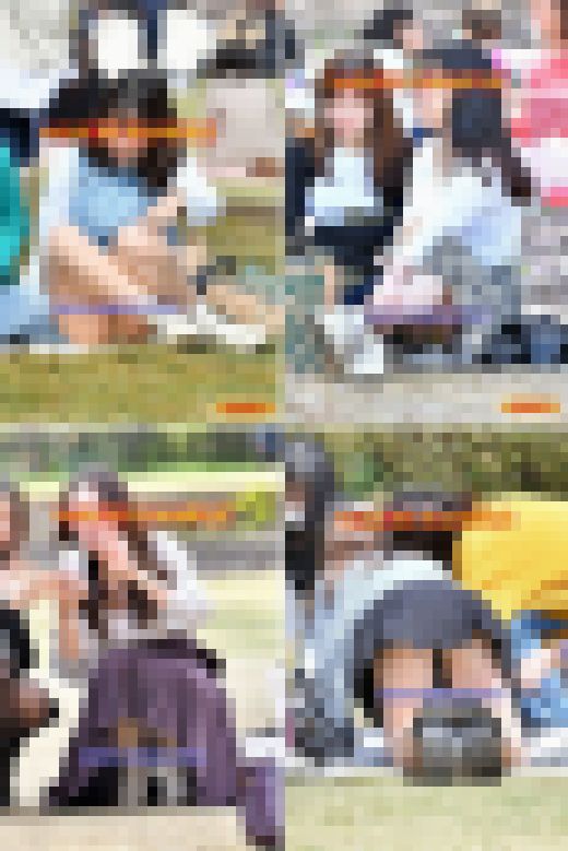 vol.633：2022年 お花見特集 第7弾　サンプル画像1