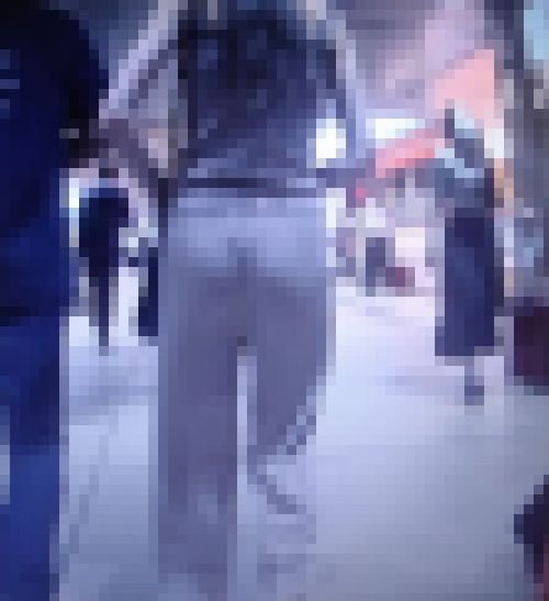 スタイル抜群のハイスペックギャルがペラピタパン履いてＴライン透かして歩いてるよ　サンプル画像1