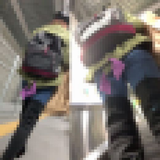 ピタパン散策35　サンプル画像2