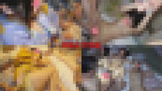 ※100円値下げ第2弾※【すい◎んカン】W大ツアーサークル連休温泉合宿／教育学部サークル女子3名と最終日ヤリまくり①　サンプル画像3