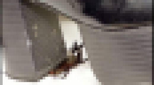 【接写映像】女子大生Mさんのカブトムシクラッシュ動画　サンプル画像2