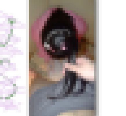 綺麗な黒髪で…(髪コキマニア)　サンプル画像1