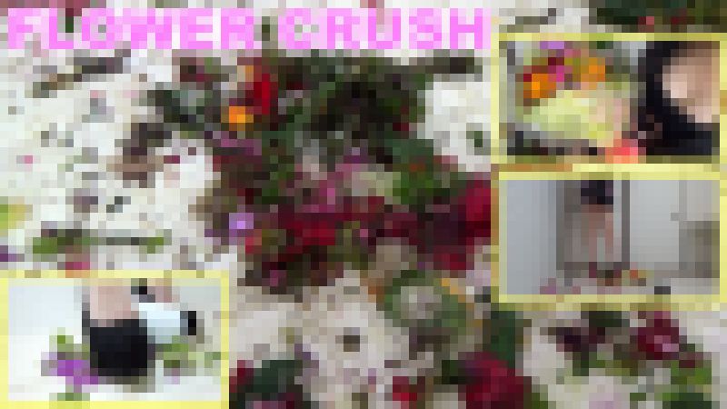 FLOWER CRUSH サンプル画像