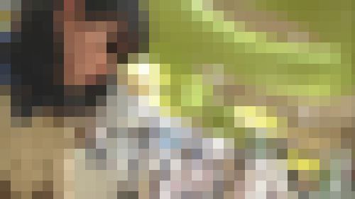 【勃起注意】パンチラカメラ 036　サンプル画像1