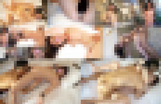 【個人撮影】長尺 / 普通っぽい女の子がヤッてみたら巨乳で全身性感帯でドスケベ女子だったのでたまらず本気の中◯ししてしまいました　サンプル画像1