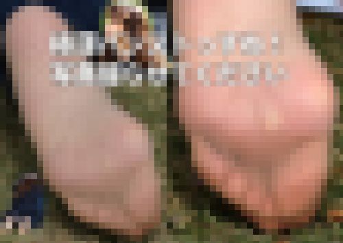極薄パンストっすね！写真撮らせてください×２ サンプル画像