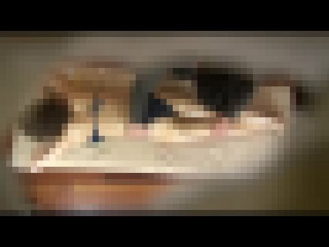 【ブリット】催淫エステ素人娘媚●入りオイルマッサージ #005 EQ-111-05 サンプル画像3